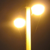 Licht 