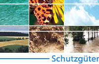 Umweltstatus Sachsen - Schutzg&uuml;ter Klima,  Wasser, Boden, Luft, Flora/Fauna, Landschaft
