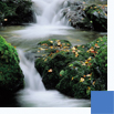 Oberirdische Gew�sser 