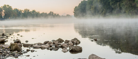 Flusslauf am Morgen mit Steinen im Wasser
