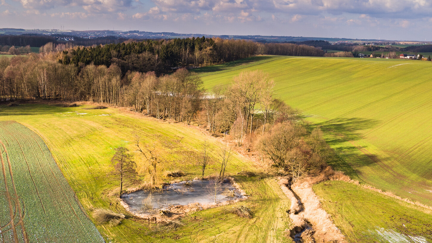 Umweltinformationen: Ackerflächen, Baumstreifen und ein Teich in der Luftaufnahme