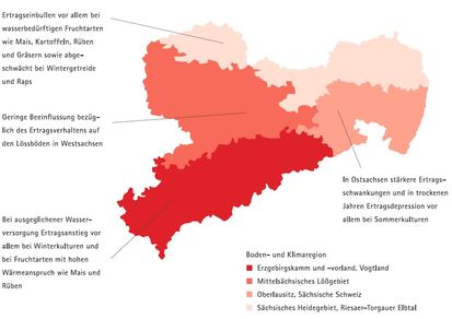 Regional differenzierte Entwicklung der landwirtschaftlichen Erträge in Sachsen
