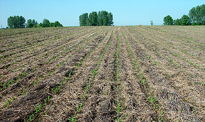 Schutz vor Bodenerosion in der Landwirtschaft