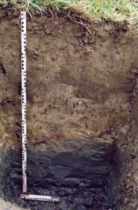 foto: soil profile