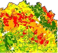 Bodenteilfunktion: Lebensraum, Kriterium: „Natürliche Bodenfruchtbarkeit“