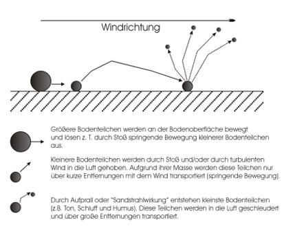 Abbildung: Prozess der Winderosion