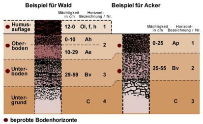 Schema zur Probenentnahme (nach UM BW, 1993a)