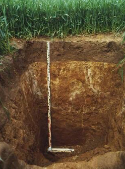 Foto: BDF Großschirma zum Zeitpunkt der Erstaufnahme (Quelle: Sächsisches Landesamt für Umwelt und Geologie, Foto: Ronald Symmangk, 1995))