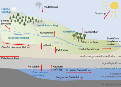 Grafik zum Wasserhaushalt